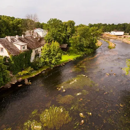 Lossi 8-5 Erika Poltsamaa