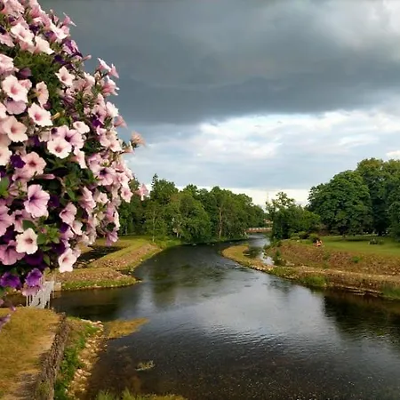 Apartment Lossi 8-5 Erika