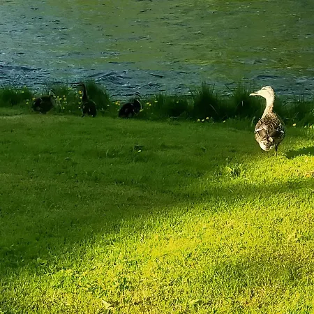 Lossi 8-5 Erika Poltsamaa