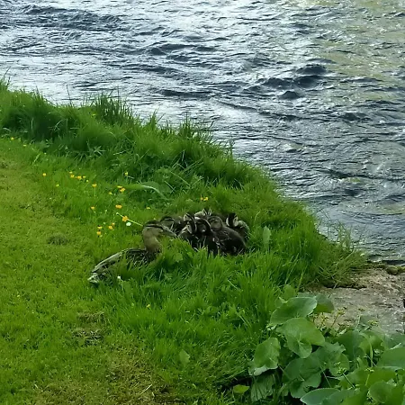 Lossi 8-5 Erika Appartamento