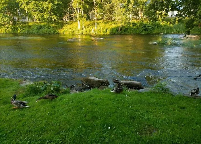 Lossi 8-5 Erika 公寓