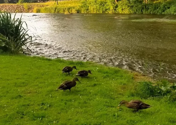 Lossi 8-5 Erika 公寓 *