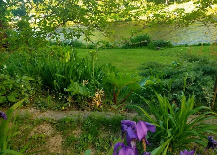 Lossi 8-5 Erika 公寓