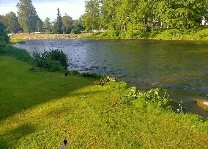 Lossi 8-5 Erika * 珀尔察马