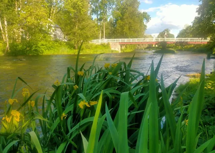 Lossi 8-5 Erika 公寓 珀尔察马